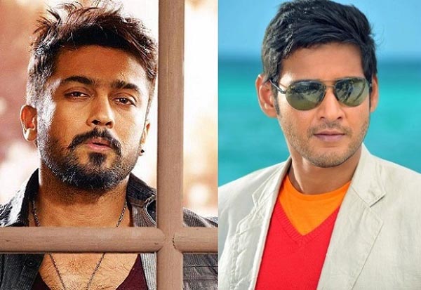 mahesh babu,brahmothswam,surya,24 movie  మహేష్ వలన ఆ హీరోకు ఎఫెక్ట్!